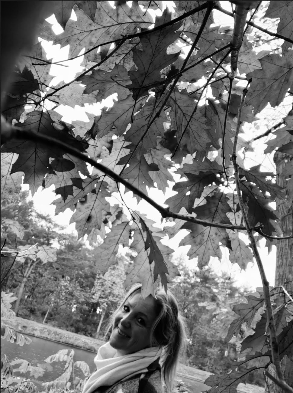 Horizon-Coaching by Bianca Zeppieri